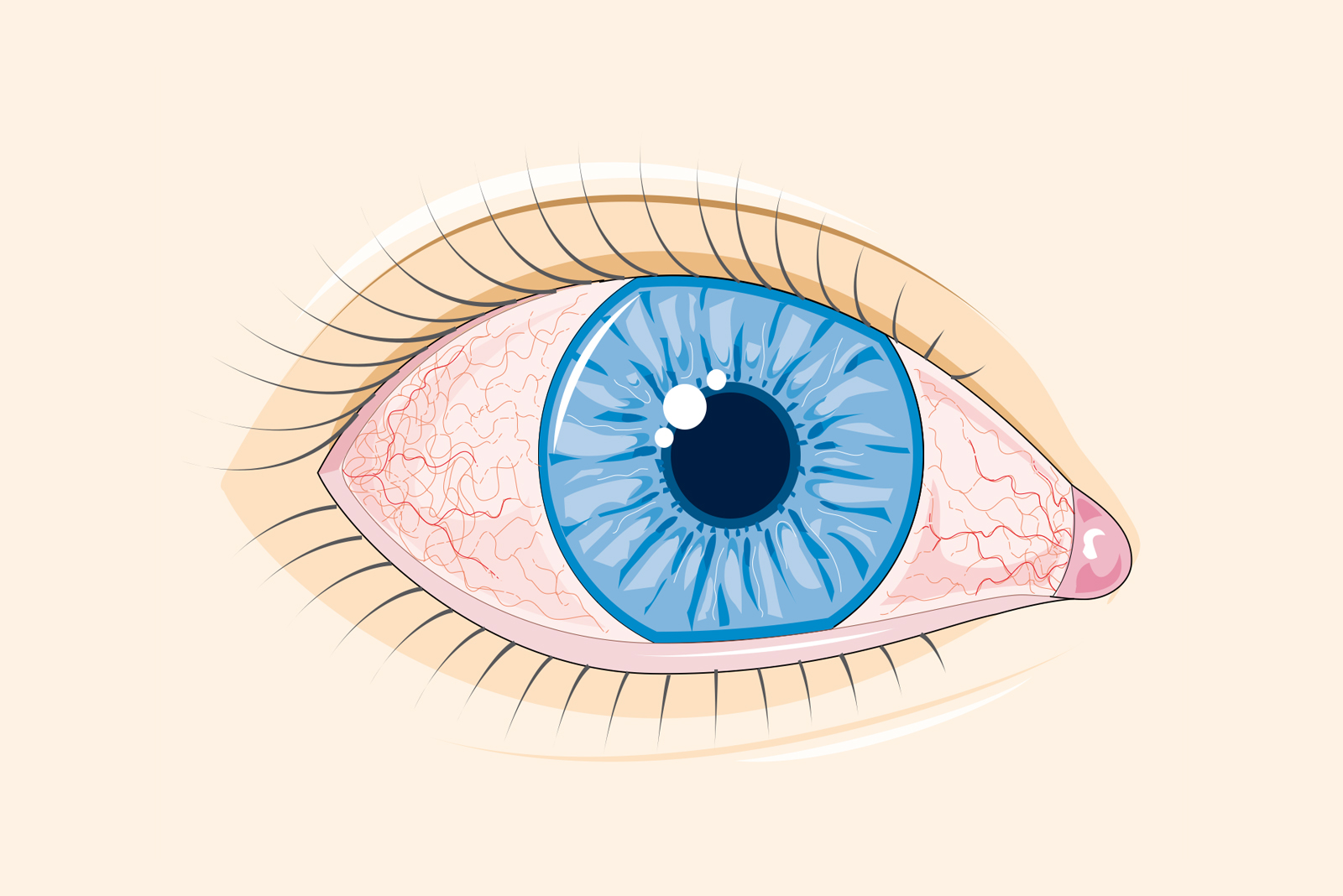 Proceduri: Proceduri oftalmologice