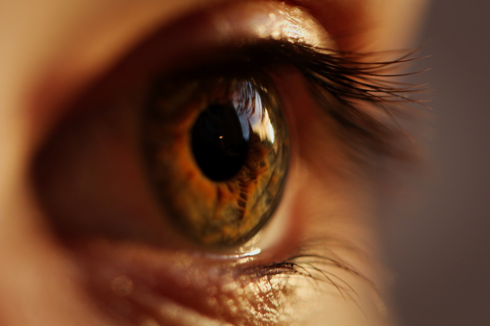 Uveita ochiului - descriere, cauze, simptome și tratament - Ochelari 